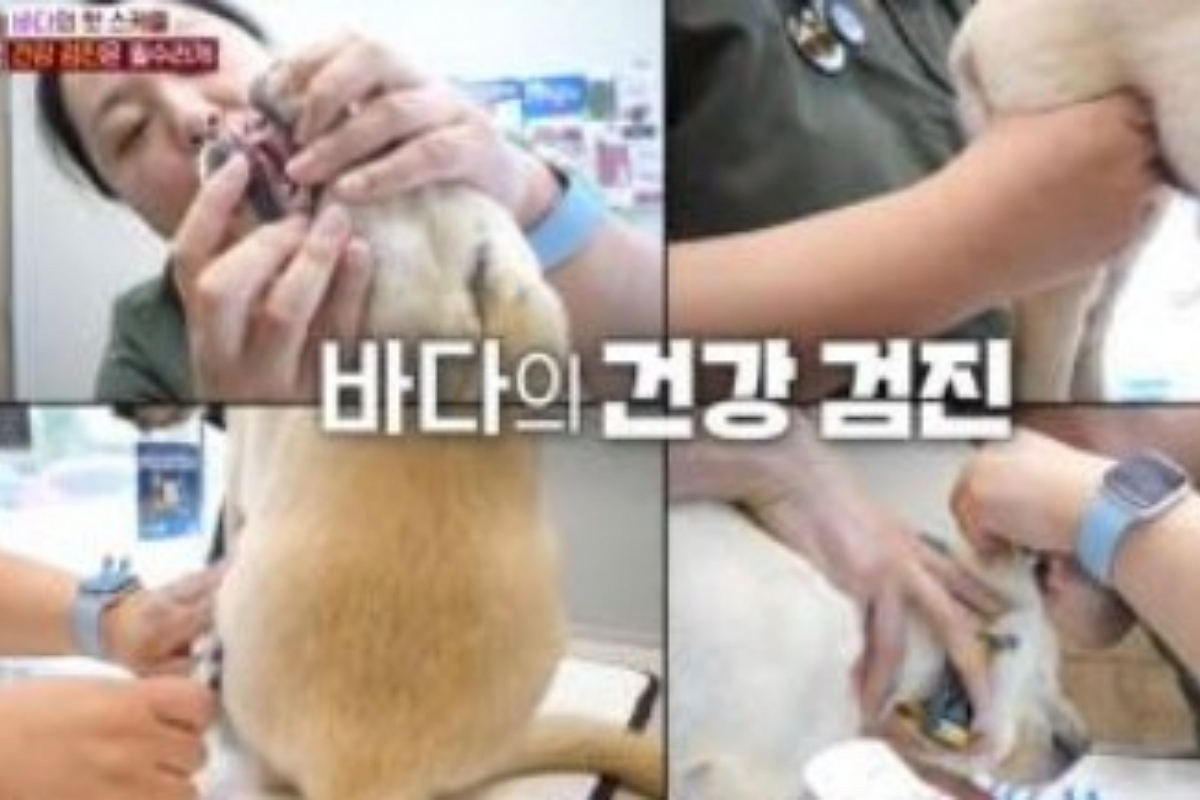 출처: SBS ‘TV동물농장’