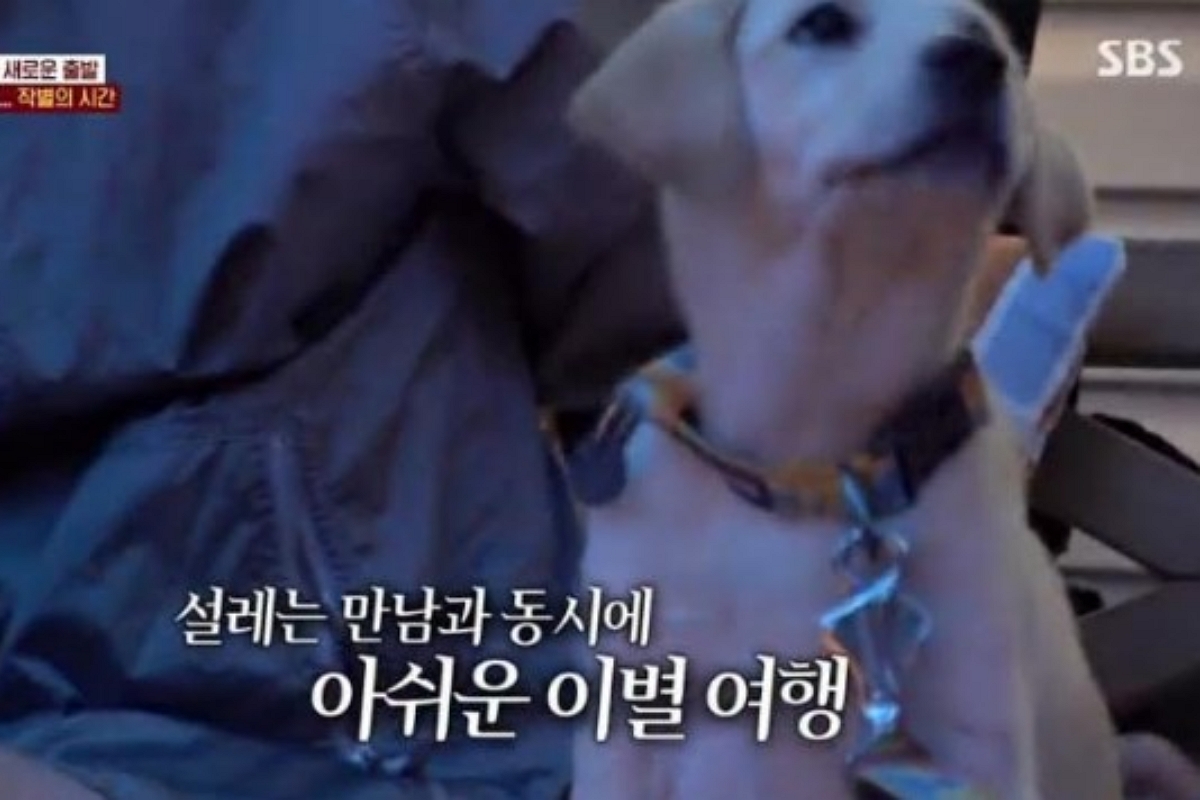 출처: SBS ‘TV동물농장’