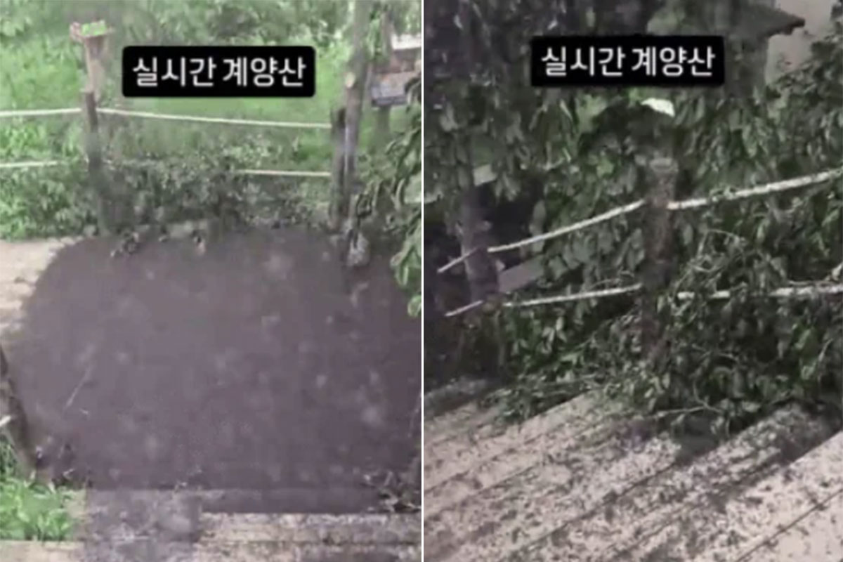 출처: 인스타그램
